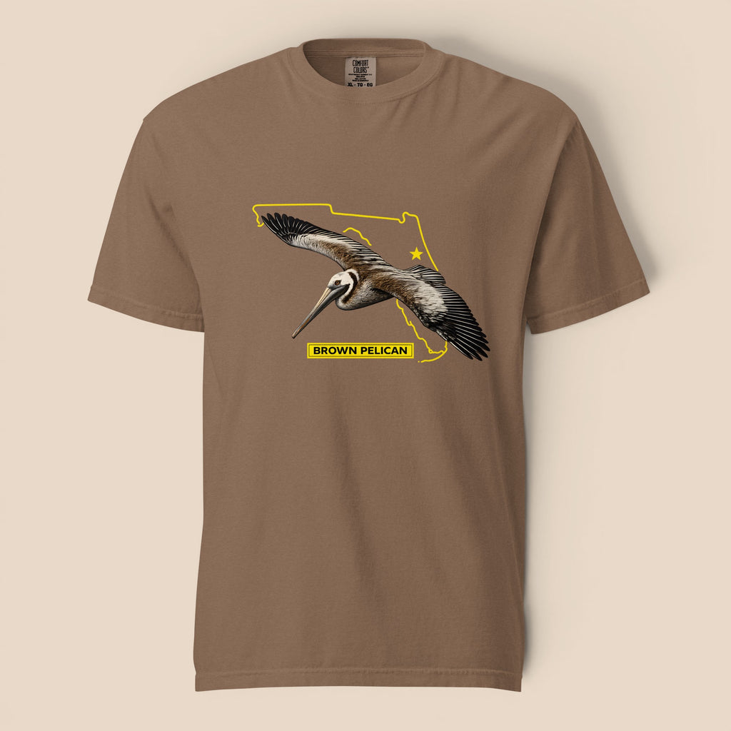 Brown Pelican | Florida Collection