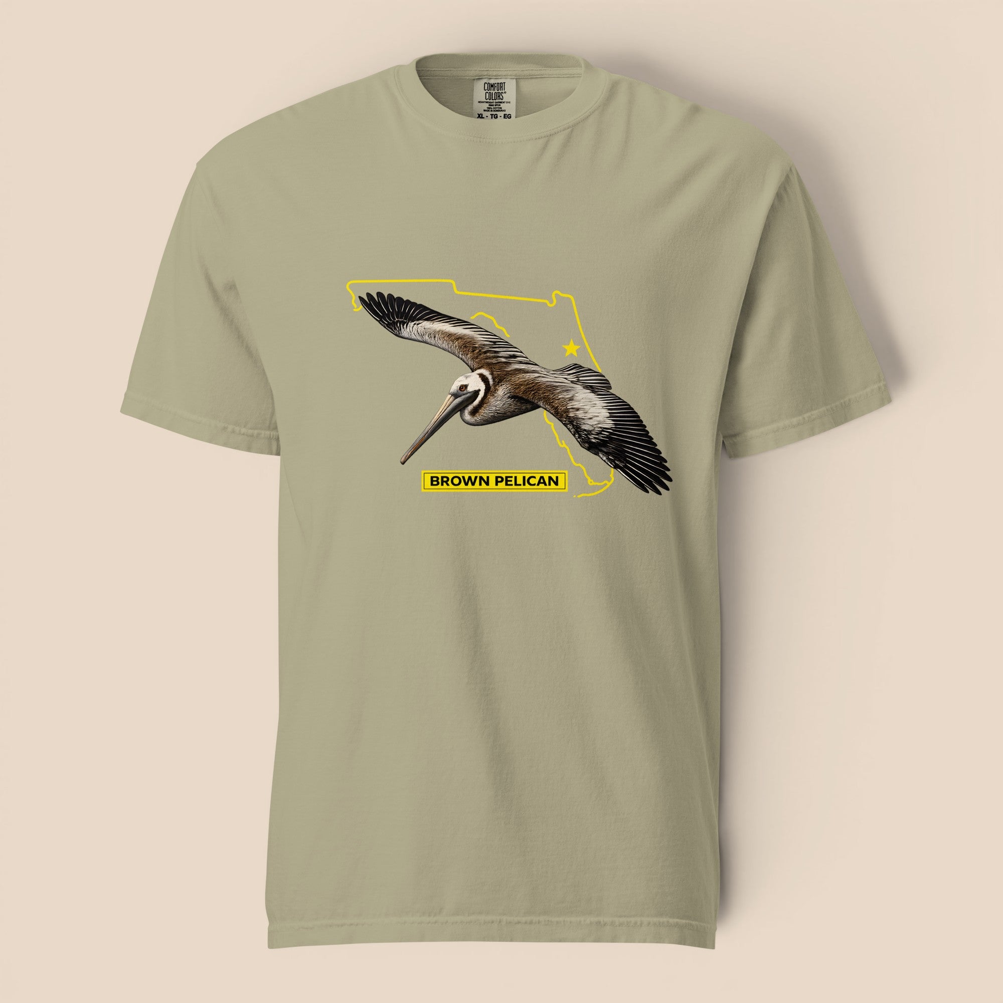 Brown Pelican | Florida Collection