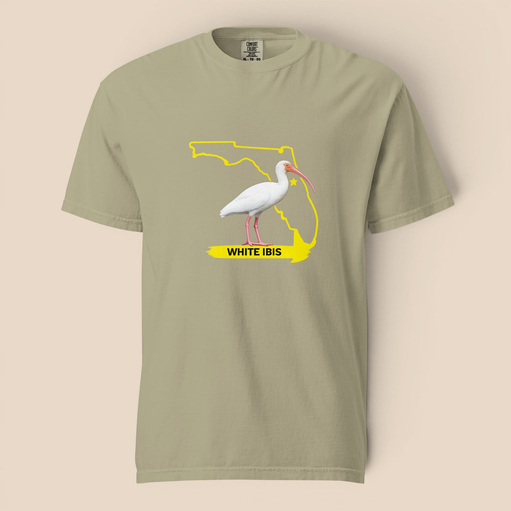 White Ibis | Florida Collection