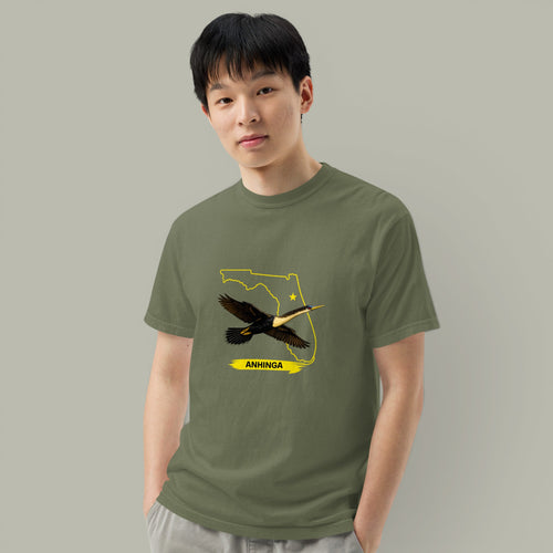 Anhinga | Florida Collection
