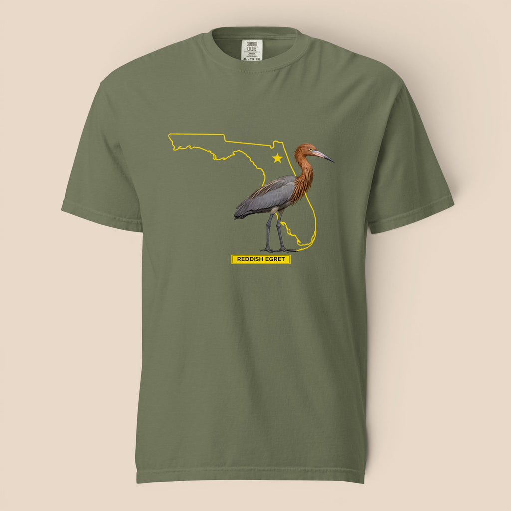 Reddish Egret | Florida Collection