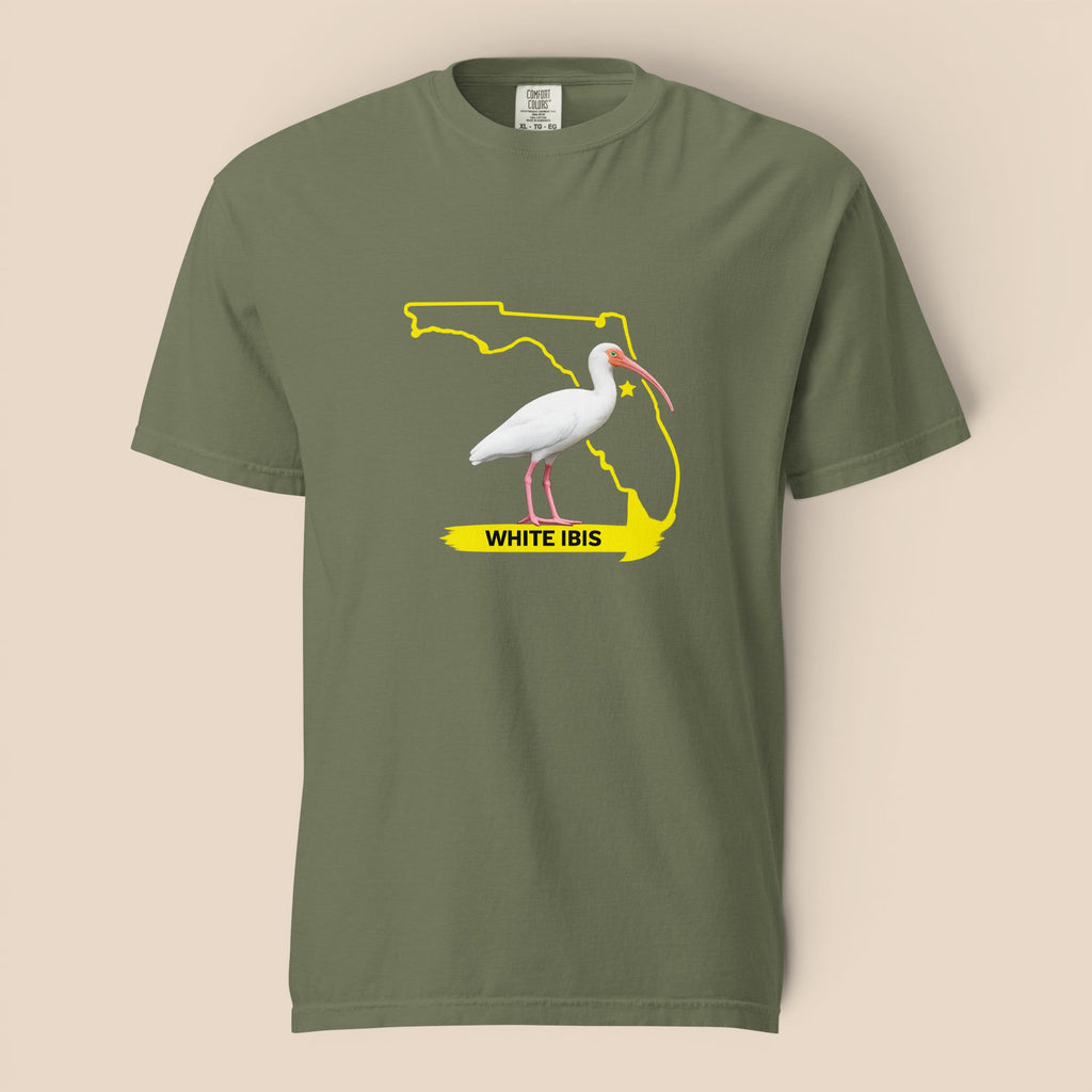 White Ibis | Florida Collection