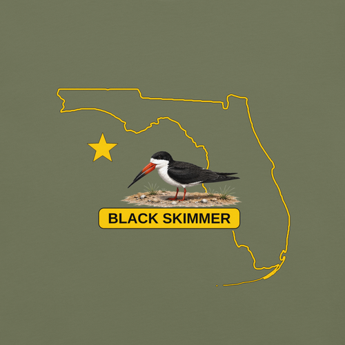 Black Skimmer | Florida Collection
